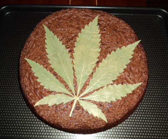 The Ultimate Marijuana Space Cake Recipe Zambeza Seeds